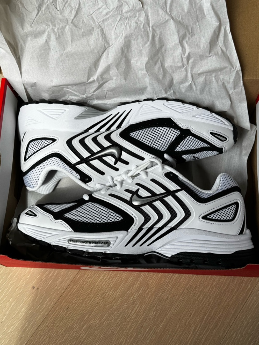 Nike Air Pegasus 2005